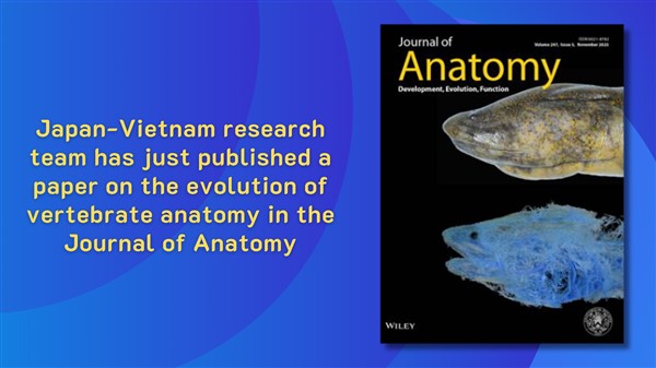 Japan-Vietnam research team has just published a paper on the evolution of vertebrate anatomy